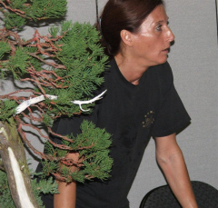 19-fef-11-mtg-13_med