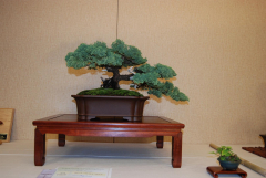 2010-bsswf-exhibit-003