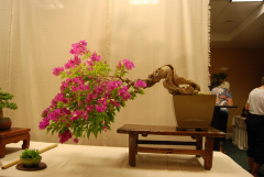 2010-bsswf-exhibit-005