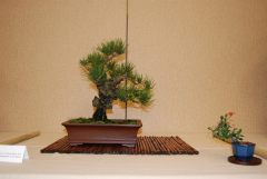 2010-bsswf-exhibit-007