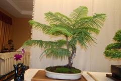 2010-bsswf-exhibit-013