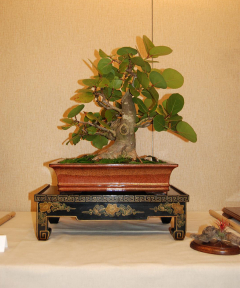 2010-bsswf-exhibit-014