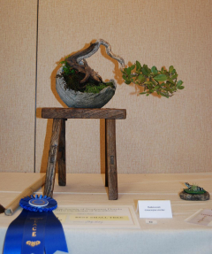 2010-bsswf-exhibit-016