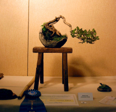 2010-bsswf-exhibit-017