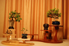 2010-bsswf-exhibit-019