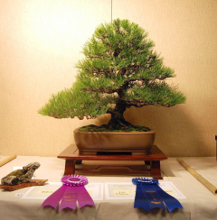 2010-bsswf-exhibit-020