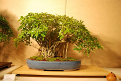 2010-bsswf-exhibit-022