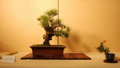 2010-bsswf-exhibit-025