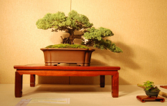 2010-bsswf-exhibit-026