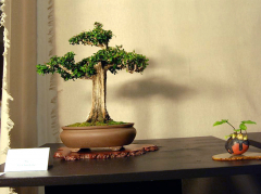 2010-bsswf-exhibit-027