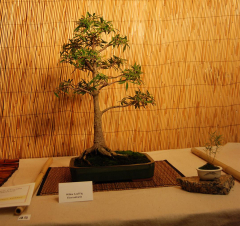 2010-bsswf-exhibit-033