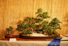 2010-bsswf-exhibit-035