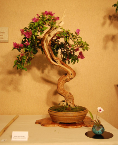 2010-bsswf-exhibit-039