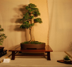 2010-bsswf-exhibit-044