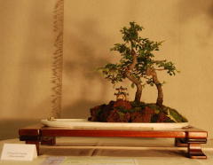 2010-bsswf-exhibit-056