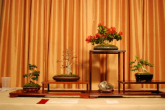 2010-bsswf-exhibit-068