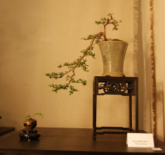 2010-bsswf-exhibit-074