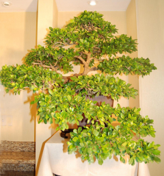 2010-bsswf-exhibit-078