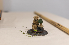 2018 SWFL Bonsai Society Annual Show-0006