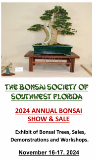 2024 Show Flyer CR-2