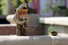 Bell Tower Shops Exhibit