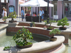 Bell Tower Shops Exhibit