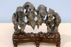 2014 Annual Bonsai Show