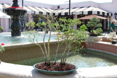 Bell Tower Shops Exhibit