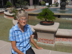 Bell Tower Shops Exhibit