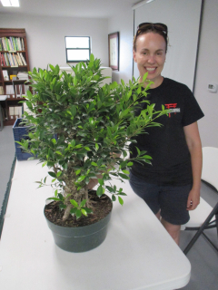 Jennifer Price Gallery