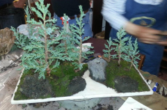 Orchids and Bonsai 017