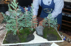 Orchids and Bonsai 018