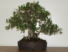 progress-2-m-hagendorn-demo-04-01-08