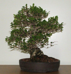 progress-3-m-hagedorn-demo-04-01-08