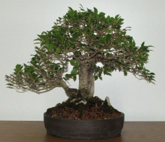 progress-4-m-hagendorn-demo-04-01-08