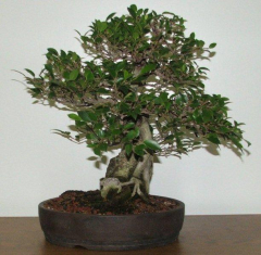 progress-5-m-hagedorn-demo-04-01-08