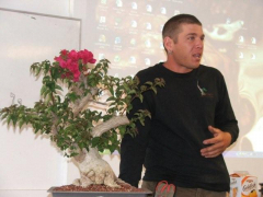 raffle_tree1_april_09