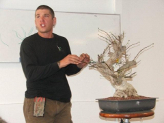 raffle_tree2_april_09