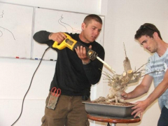 raffle_tree3_april_09