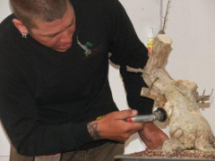 raffle_tree4_april_09_0