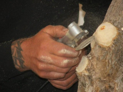 raffle_tree5_april_09_0