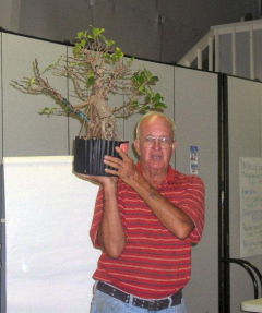 rs-01-jim-lindsay-shibas-demo-tree