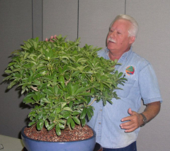 rs-04-ernie-with-judys-tree-3