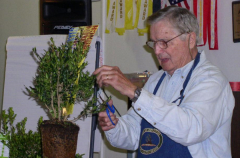 rs-06-trim-to-be-treelike