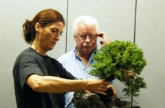 rs-07-dorothy-placing-tree-on-rock_med