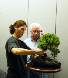 rs-07-dorothy-placing-tree-on-rock_med