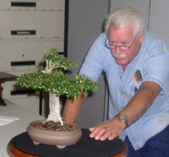 rs-07-ernie-studying-renees-tree-3