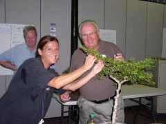 rs-09-dorothy-at-work-on-jims-tree