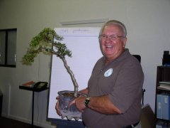 rs-10-jim-after-tree