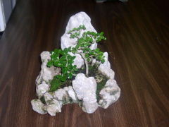 rs-10-judys-raffle-prize_1